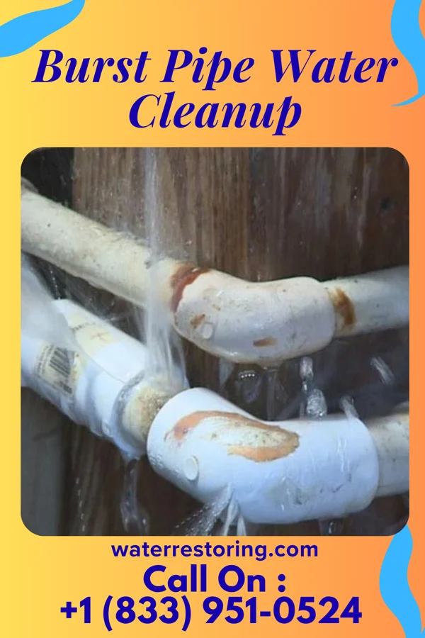 Burst Pipe Water Cleanup in Wapakoneta, OH