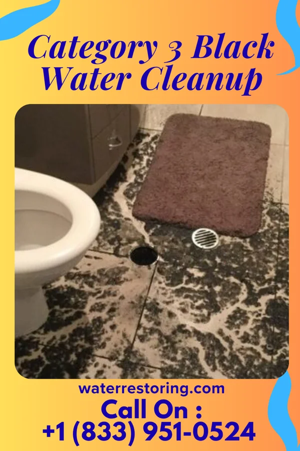 Category 3 Black Water Cleanup in Wapakoneta, OH