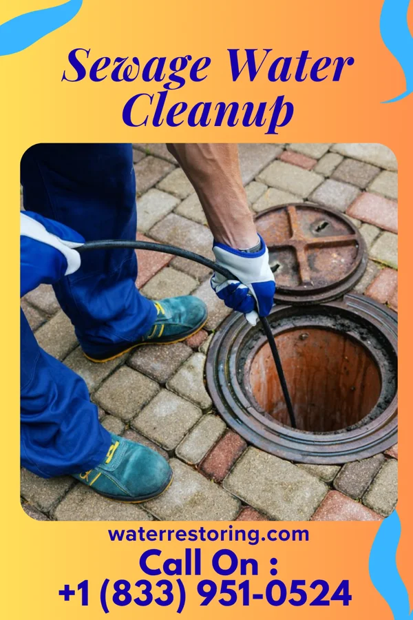 Sewage Water Cleanup in Wapakoneta, OH