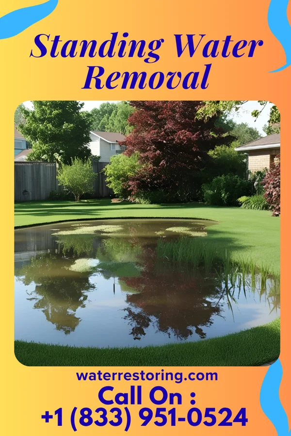 Standing Water Removal in Wapakoneta, OH
